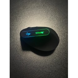 Mouse ergonomico